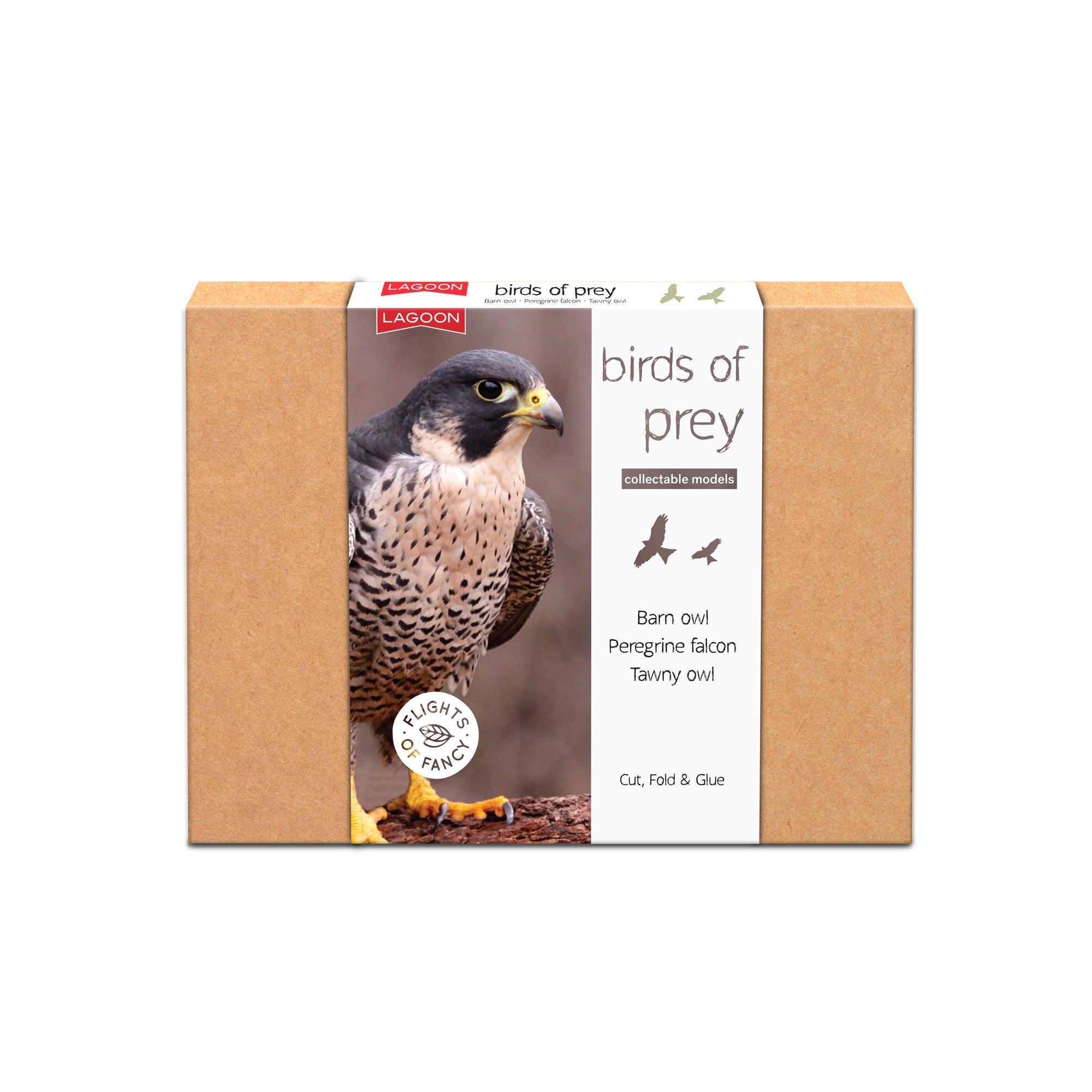 Box with birds of prey image on the front. White background.