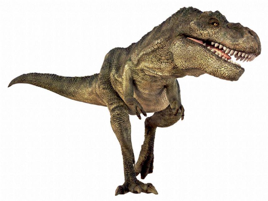 T-Rex image. White background.