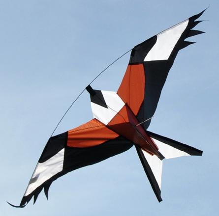 Brown, bird-shaped hawk kite.