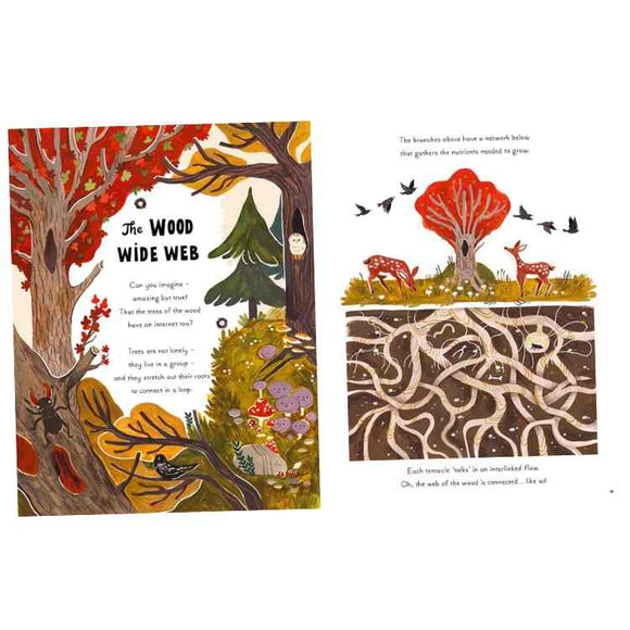 Illustration of a forest scene with plants, animals, and interconnected roots explaining the "Wood Wide Web." Bright colors and whimsical style convey nature's network complexity in "5 Minute Nature Stories" by Magic Cat Publishing, highlighting woodland wonders.