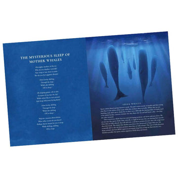 The left page of "A Songbird Dreams of Singing" by Puffin, authored by Kate Hosford, presents the poetic text "The Mysterious Sleep of Mother Whales," while the right side shows an illustration of whales and informational text about sperm whales, ideal for a bedtime book on sleeping animals.