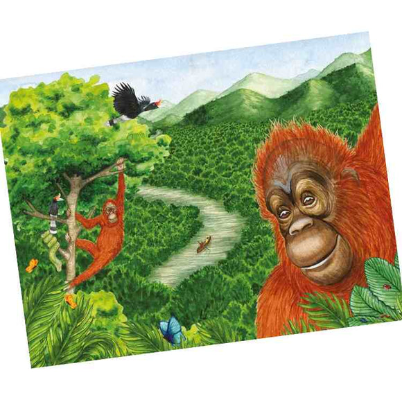 Buddy's Rainforest Rescue" by Ellie Jackson: An illustration of a lush jungle with orangutans in a tree, a hornbill flying above, and a winding river through vibrant landscapes. Mountains tower in the background as colorful butterflies flutter, ideal for a children's book adventure.