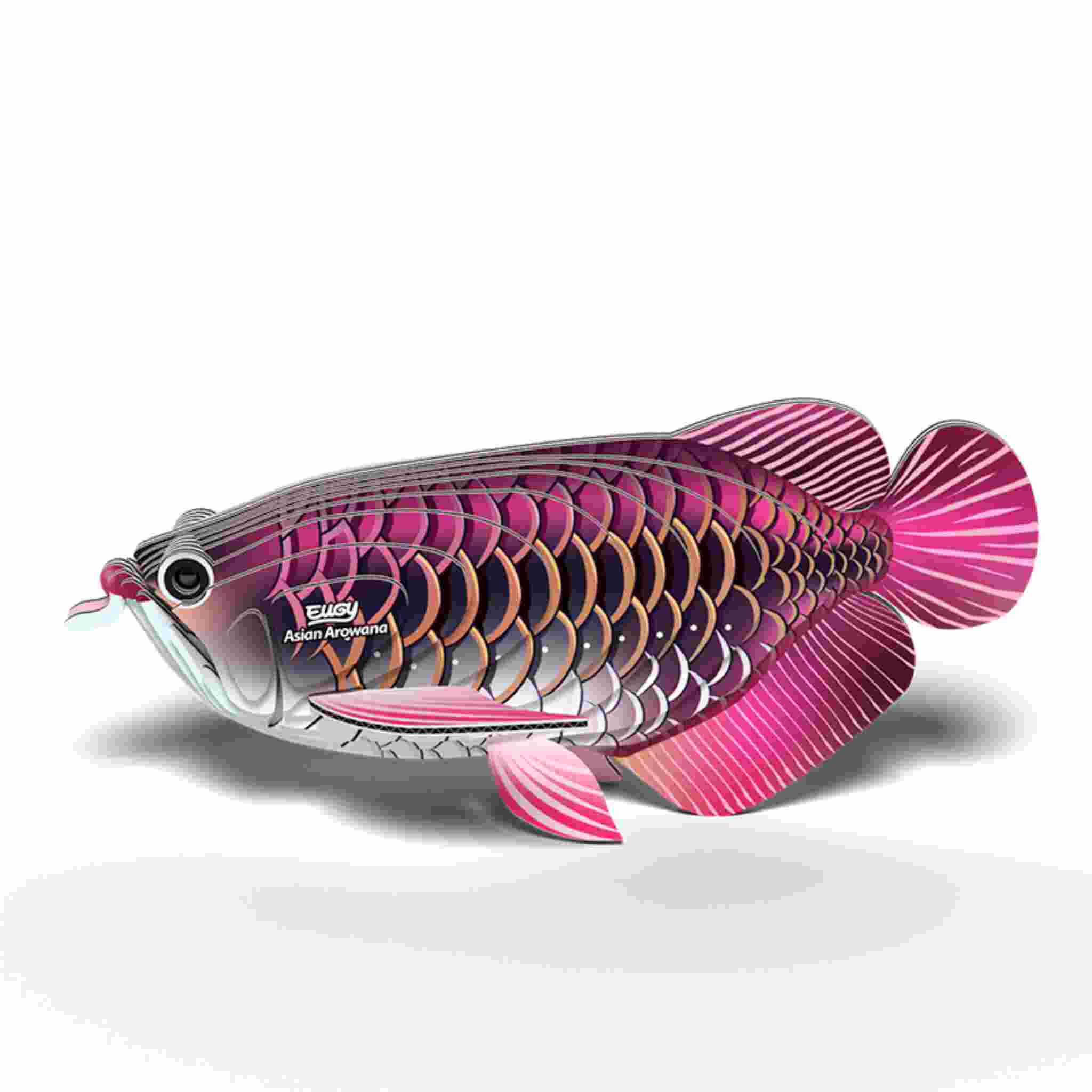 A vibrant illustration of a colorful metallic Asian Arowana features large, overlapping scales in pink, purple, and gold. Its vivid pink fins and striped tail capture the charm of EUGY figures, set against a plain white background. Product Name: EUGY Asian Arowana by Brand: EUGY.