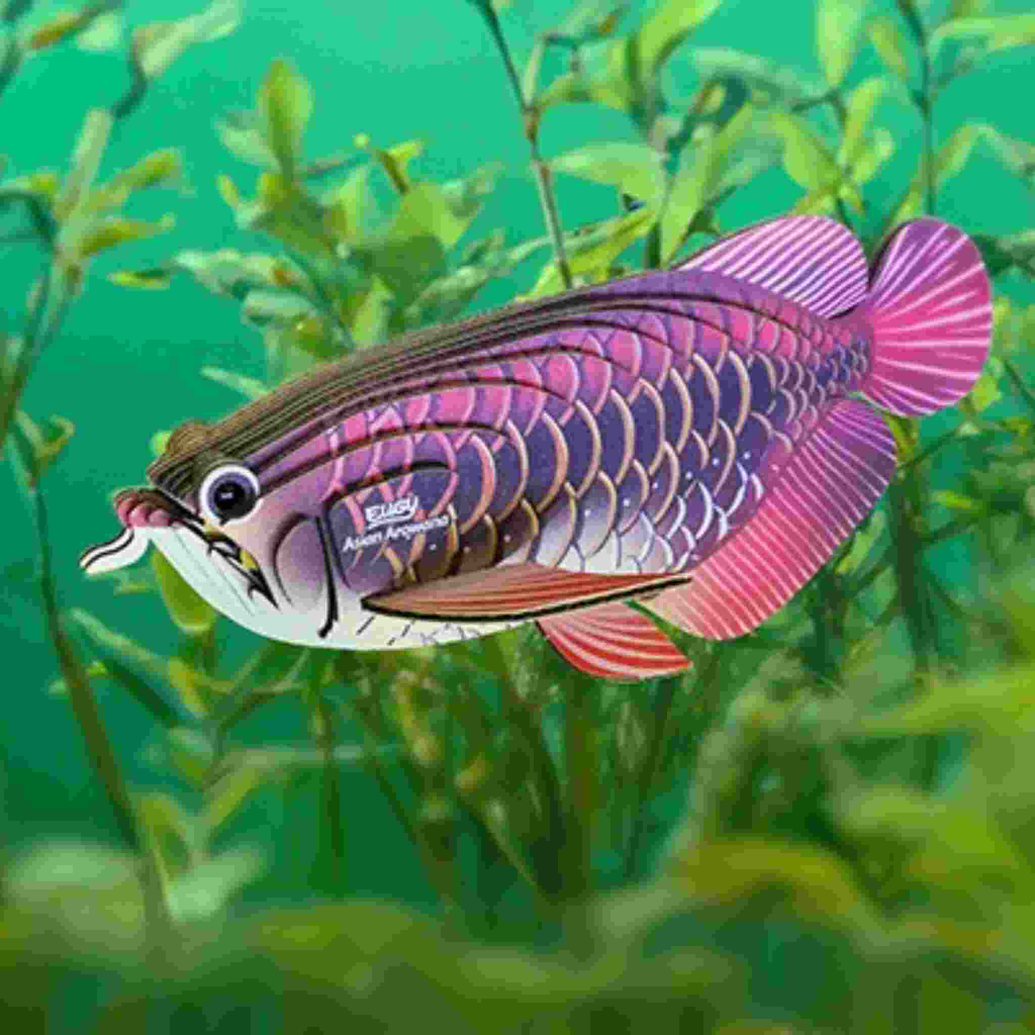 A digital illustration features the EUGY Asian Arowana swimming among green aquatic plants, showcasing vibrant pink and purple scales with a metallic sheen, reminiscent of EUGY figures, against a lush aquatic backdrop.