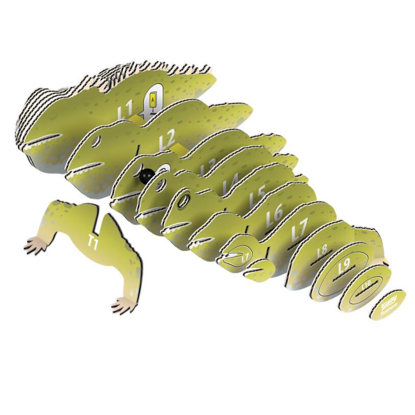 The EUGY Tuatara by EUGY showcases an eco-friendly, segmented assembly process for a collectible model, with parts labeled from L1 to L9 and T1. The green pieces have a cartoonish charm, representing the body and limbs, making this model a perfect addition to any 3D collection.