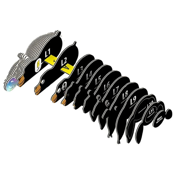 Stylized illustration of eleven overlapping Eugy Black Bear figures labeled L1 to L11, arranged front to back with L1 at the front emitting a colorful light—printed with eco-friendly inks by EUGY; ideal for educational decor.