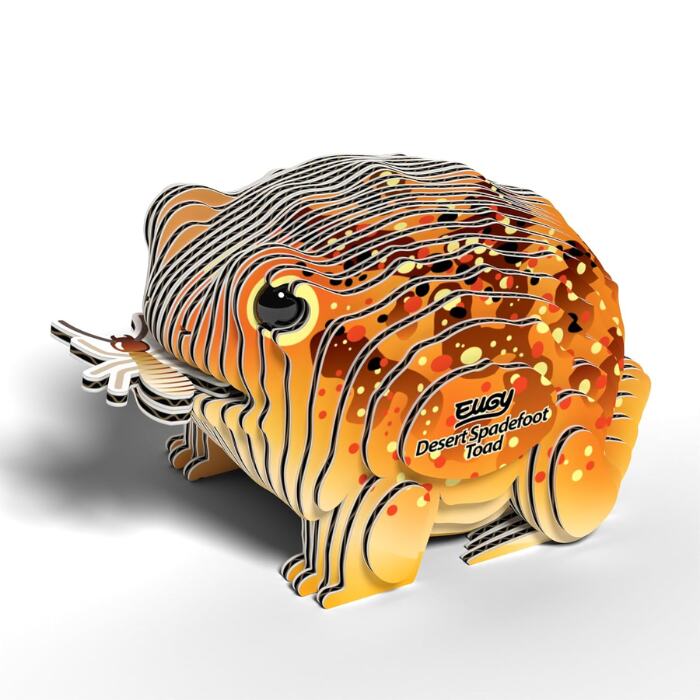 The EUGY Desert Spadefoot Toad is an environmentally-friendly, layered paper sculpture showcasing a vibrant orange and yellow design. The side of the piece is labeled with "Desert Spadefoot Toad" and the brand name "EUGY," providing a detailed artistic rendition of this fascinating amphibian.