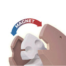 Halftoys Picture Book - Beaver-6