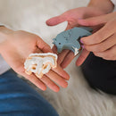 Halftoys Picture Book - Sheep-6