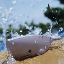The Halftoys Picture Book - Sperm Whale by Halftoys features a toy whale on a wet surface with splashing water, perfect for educational play, set against a blurred backdrop of greenery and blue sky.