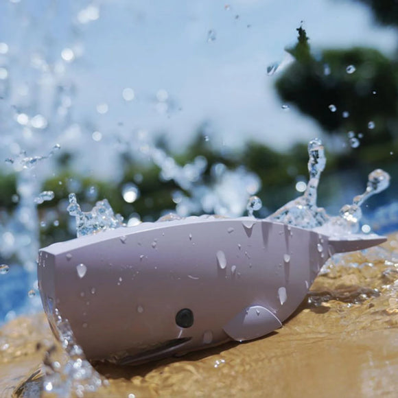 The Halftoys Picture Book - Sperm Whale by Halftoys features a toy whale on a wet surface with splashing water, perfect for educational play, set against a blurred backdrop of greenery and blue sky.