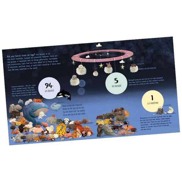 Illustration of diverse baby mammals resting in a peaceful park with a mobile of plush animals hanging above. Perfect for animal lovers, the text highlights that 94% are placental, 5% marsupial, and 1% monotreme. Product: "If the World Were 100 Animals" by Bloomsbury.