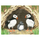 Two puffins with black and white feathers and orange beaks stand beside a fluffy gray chick near a burrow, surrounded by grass and ocean plastic. This scene reflects themes from "Marli's Tangled Tale," a delightful children's book by Ellie Jackson.