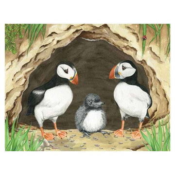 Two puffins with black and white feathers and orange beaks stand beside a fluffy gray chick near a burrow, surrounded by grass and ocean plastic. This scene reflects themes from "Marli's Tangled Tale," a delightful children's book by Ellie Jackson.