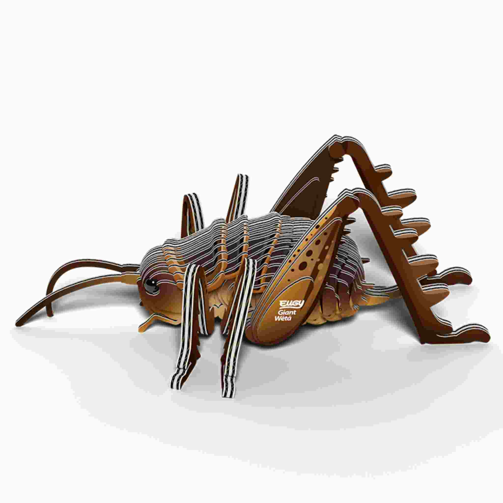 The EUGY Giant Weta is a cardboard sculpture featuring layered cutouts with a brown color scheme. Its body and legs are creatively shaped to resemble a realistic grasshopper or Giant Wētā, with visible antennae and wing details assembled using non-toxic glue.