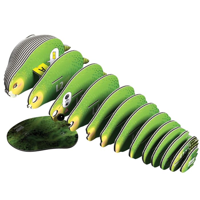 The EUGY Kākāpō from EUGY is a biodegradable, card-based toy shaped like a green caterpillar that captivates children with its numbered segments, which form an accordion-style train. Each cheerful segment features small wheels, while the front segment presents a larger face and antennae, mirroring the delightful essence of New Zealand's flightless parrot, the kākāpō.