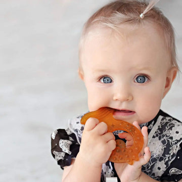 Natural Rubber All-Stage Fish Teether