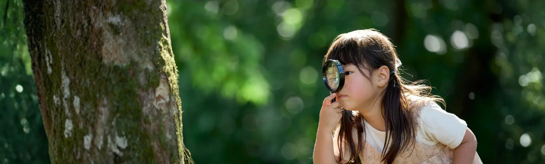 What can we help you find?