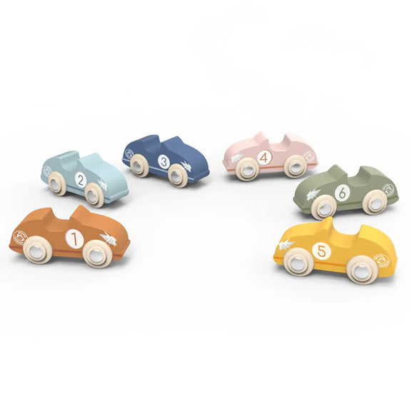 Speedy Monkey Racing Cars