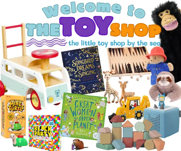 Toy shop welcome 25 mb