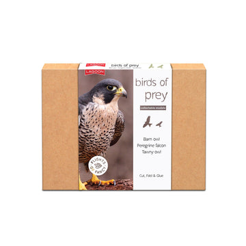 Box with birds of prey image on the front. White background.