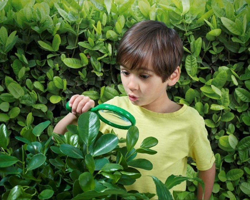 Boy outside with a green magnifying glass examining nature.