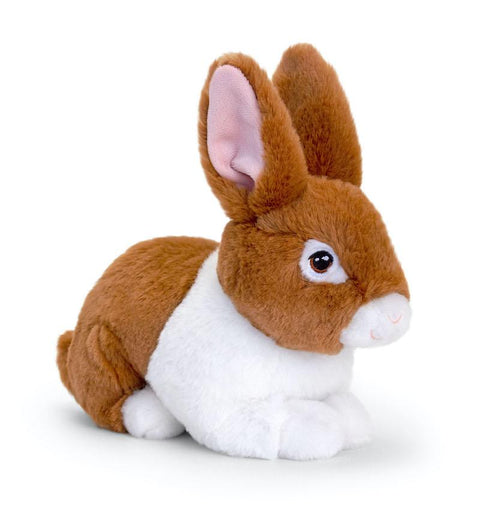 Brown and white cuddly bunny rabbit.