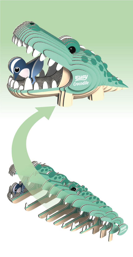 Numerical pieces that fit together to make Eugy cardboard crocodile model.