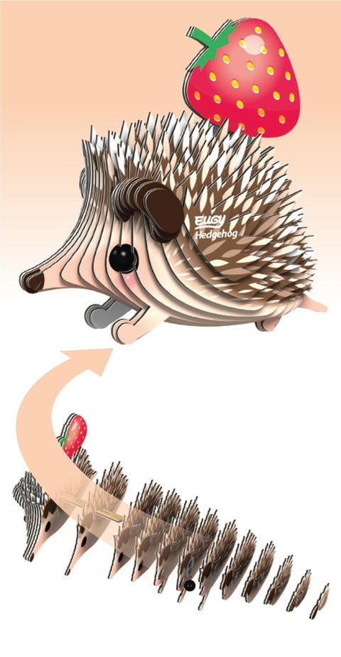 Image of numbered cardboard pieces and the resultant hedgehog model.