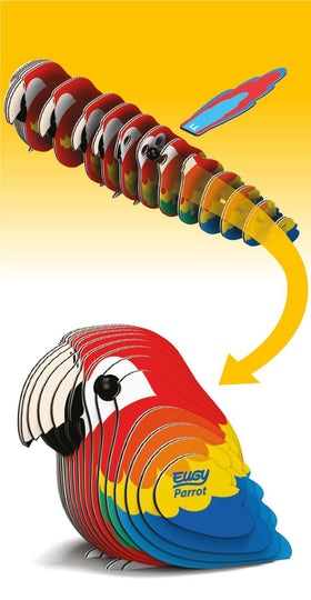 Pieces of the colourful parrot model in size order.