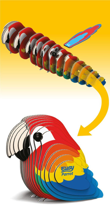 Pieces of the colourful parrot model in size order.