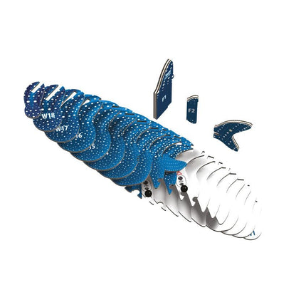 pieces that make up the whale shark model.