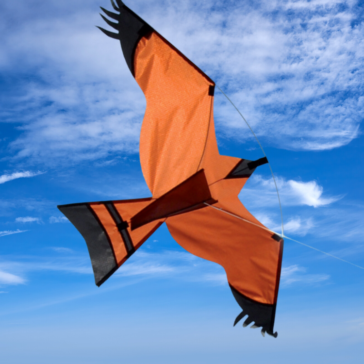 Hawk-shaped kite in natural brown tones.