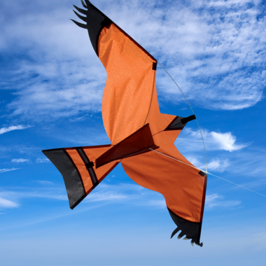 Hawk-shaped kite in natural brown tones.