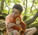 Boy wearing a green t-shirt cuddling orangutan toy.