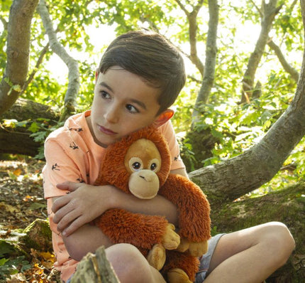 Boy wearing a green t-shirt cuddling orangutan toy.