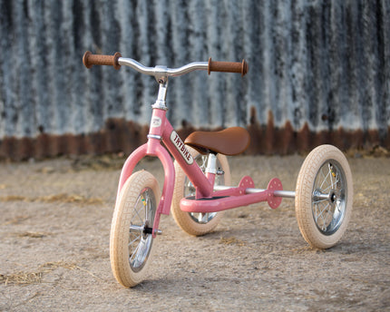 Pink Trybike in front of a corrugated iron fence.