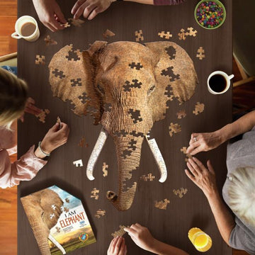 Image shot from above of people putting together the large elephant head jigsaw.