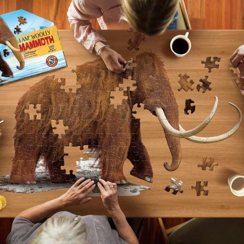 Image taken from above showing people working on the large mammoth jigsaw puzzle.